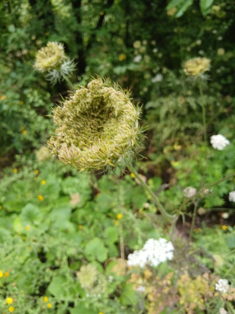 Galeri Fotoğrafı 683