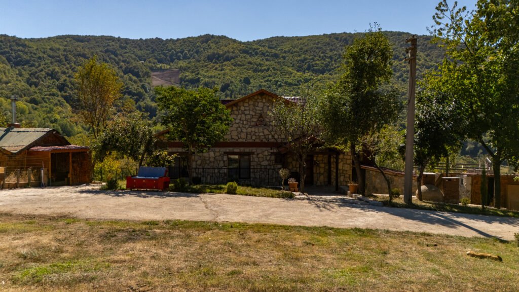 Outdoor 1